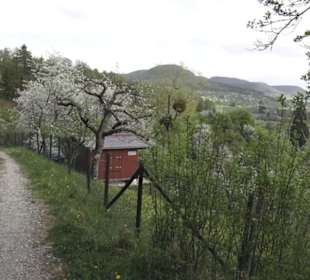 Wanderweg Firstwaldrunde
