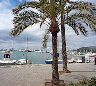 Yachthafen Alcudia