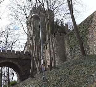 Burg Klopp 
