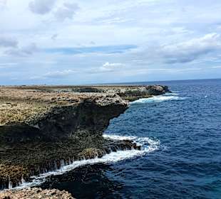 Rundfahrt Insel Bonaire