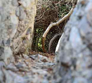 Ein paar Inspirationen von unserer Strandwanderung