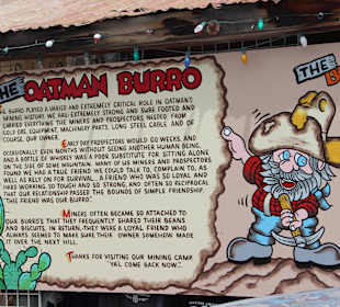 Erklärung zu den Eseln