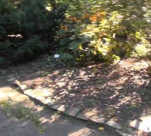 Botanischer Garten
