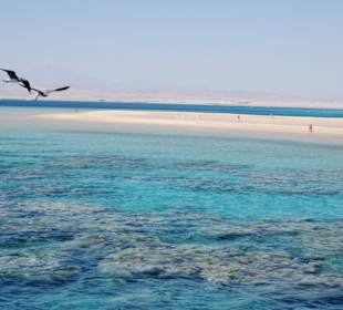 Ausflug & Schnorcheln