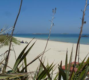 Insel Herm