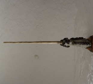 Schloss Ein- und Ausblicke