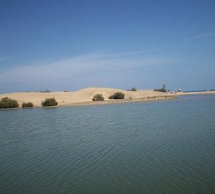Dünen von Maspalomas