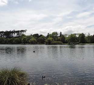 Im Western Springs Park