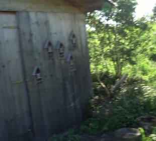 Wandern Leutkirch im Allgäu