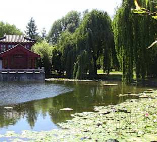 Chinesischer Garten