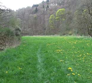 Burgfelsenpfad