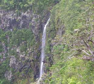 Im Hochland auf ca. 500 Meter..