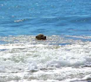 Ende September 2010 Inspirationen