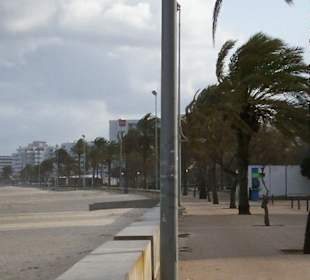 Strand Cala Millor März 2011