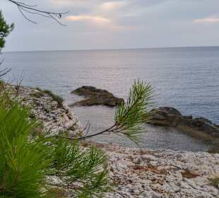 Hundestrand Uvala Sakucani Pula