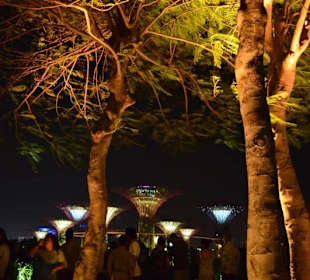 Gardens by the Bay