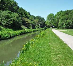 Eindrücke vom Rundgang am Krimpelsee
