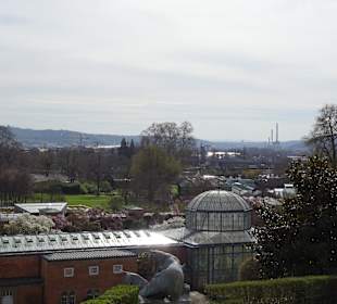 Wilhelma Stuttgart