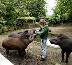 Zoo Osnabrück