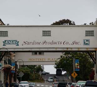 Cannery Row 