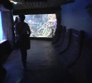 National Aquarium Malta