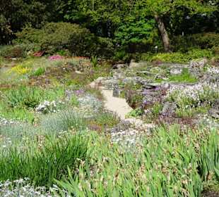 Spaziergang durch den Botanischen Garten Bremen