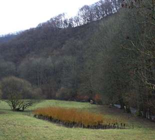 Ellerbachtal, am zweiten Aufstieg