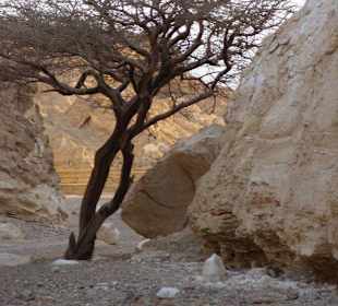 Schöne Schlucht