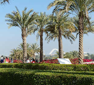 Schöne Gartenanlage