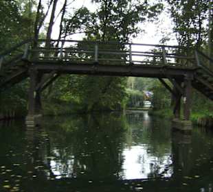 Lübbenau - Natur pur