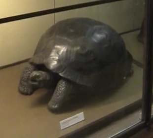 Naturhistorisches Museum