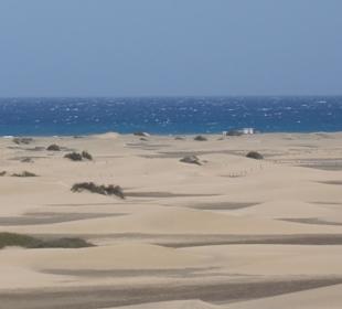 Die Dünen