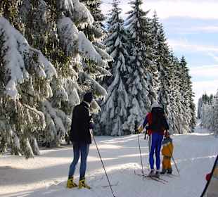 Wandern Neuhaus am Rennweg