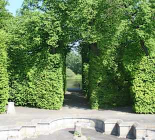 Widok na dolną cześć ogrodu.