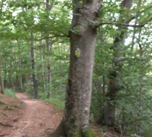 Hochgeträumt Premiumwanderung
