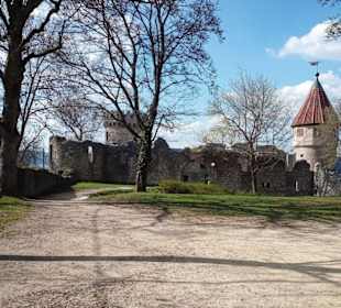 Burg Ruine Honberg in Tuttlingen