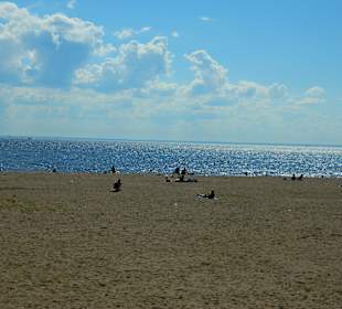 Park 300 lecia Sankt Petersburga