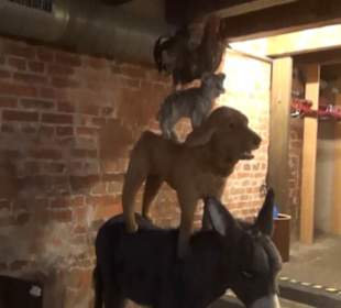 Bremer Geschichtenhaus