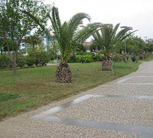 Eindrücke der Promenade