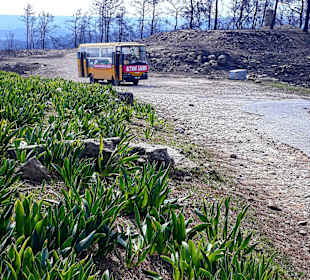 Der Weg ist das Ziel