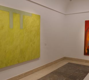 Besuch des Museum Fundación Juan March in Palma