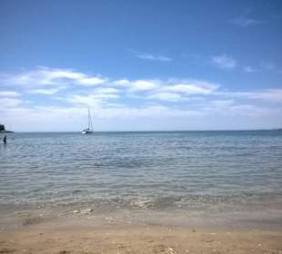 Plaża kamienista