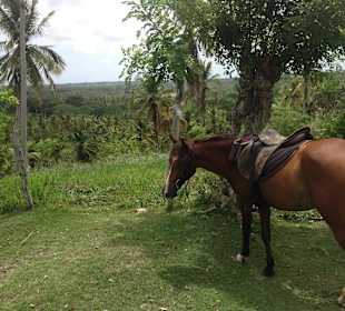 Ausritt in die Berge