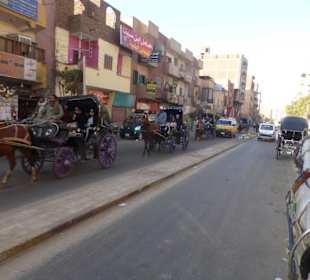 Kutschfahrt zum Edfu Tempel