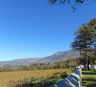 Weingut Groot Constantia