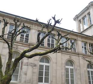 Bei einem Spaziergang durch Baden-Baden