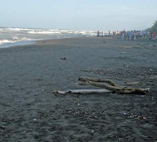 Strand der Schildkröten gegenüber am Kanal