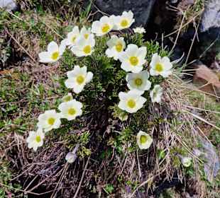 Wandern St. Jakob im Defereggental