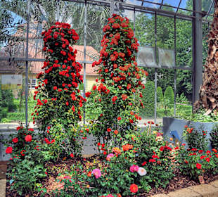 Parkanlage Schloss Ludwigsburg