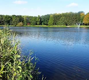 Herbst im Gesundheitspark Speckenbüttel